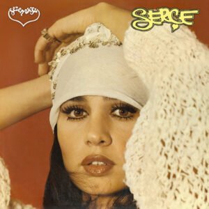 Sezen Aksu Kaç Yıl Geçti Aradan