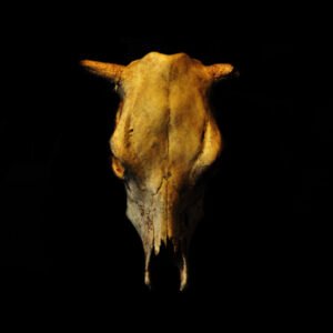 Son Feci Bisiklet Zaman Yok