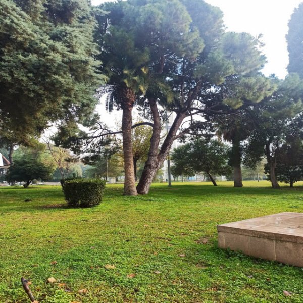 Siyasiyabend Bir Seher Vaktinde